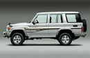 70 Series Land Cruiser Decal Body Stripe Kit (Muscat) - 76 Series (2007-)